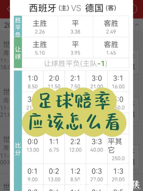 世界杯下注与赔率：如何合理分配